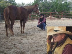 Certified Horse Temperament Master Temperament Consultants
