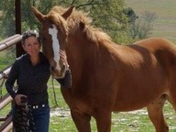 Certified Horse Temperament Master Temperament Consultants