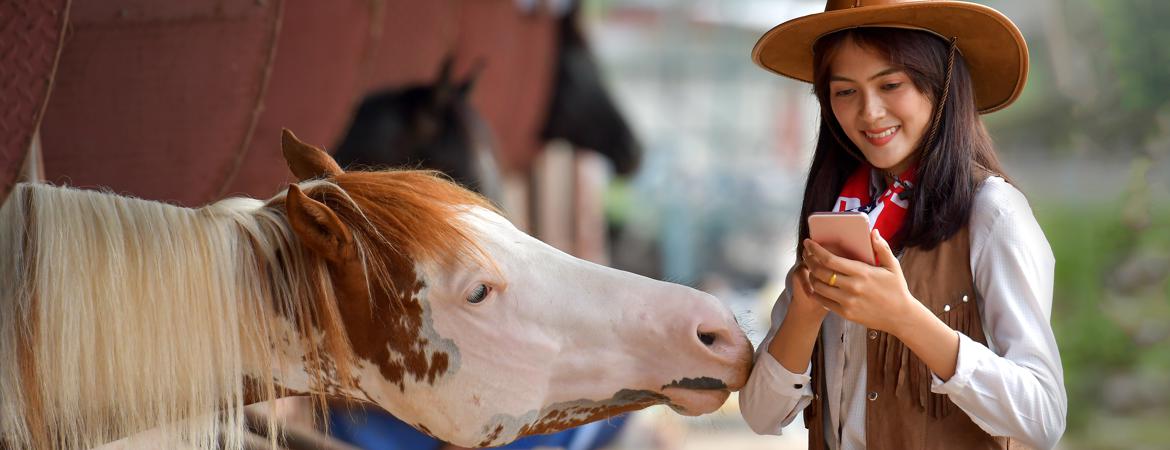 Contact Information for Horse Temperament Typing Specialist