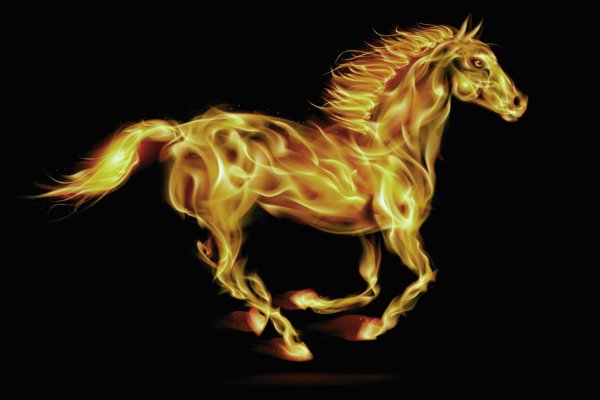 how to type an earth horse