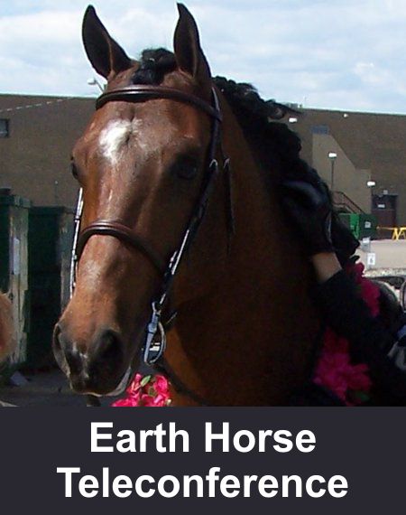 how to type a metal horse