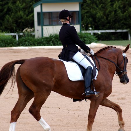 Audio: The Fire Horse Teleconference MP3 File