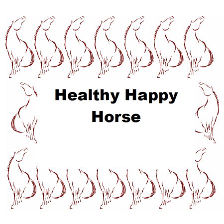 Healthy Happy Horse Home Study Course