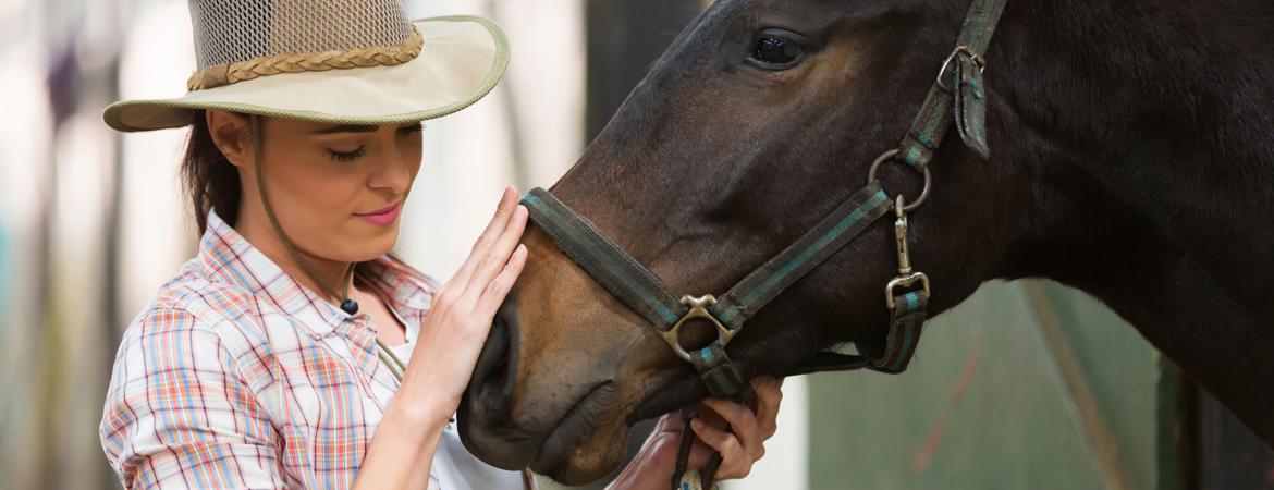 Frequently Asked Questions for Horse Temperament Typing Specialist