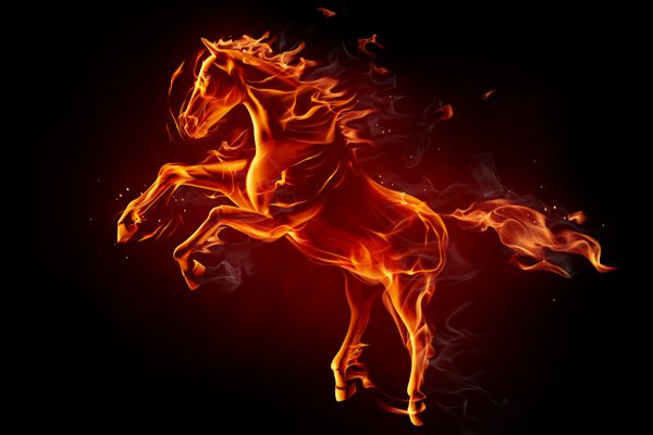 how to type a fire horse