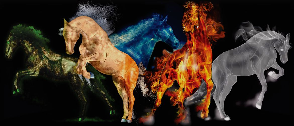 Natural Feed Supplements for Your Horse