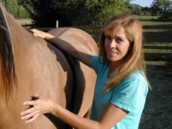 Certified Horse Temperament Master Temperament Consultants