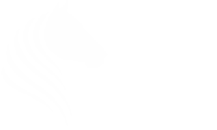 Equestrian Health Products