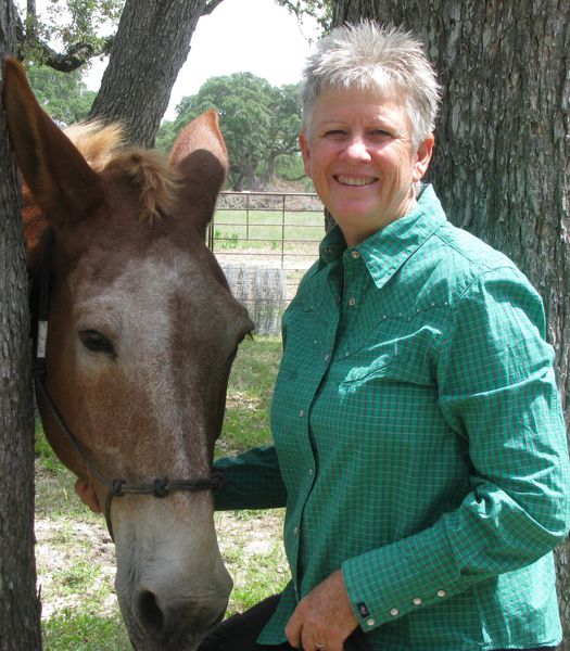 Natural Feed Supplements for Your Horse