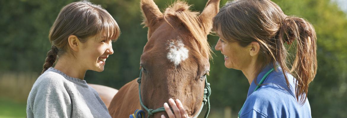 Contact Information for Horse Temperament Typing Specialist