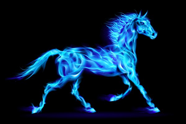 how to type a water horse